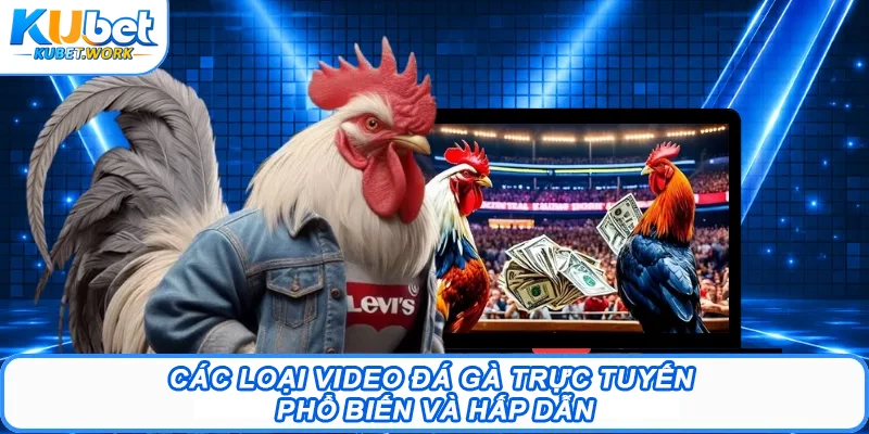 Video Đá Gà – Mang Đến Những Trận Đấu Đỉnh Cao Nhất 1 Các loại video đá gà trực tuyến phổ biến và hấp dẫn