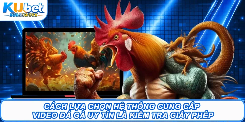 Video Đá Gà – Mang Đến Những Trận Đấu Đỉnh Cao Nhất 3 Cách lựa chọn hệ thống cung cấp video đá gà uy tín là kiểm tra giấy phép