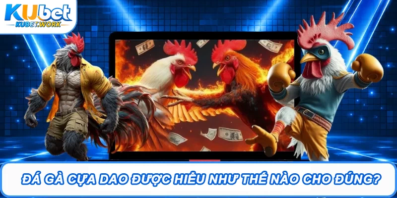 Đá gà cựa dao được hiểu như thế nào cho đúng?