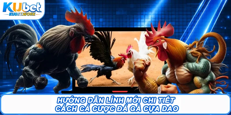 Hướng dẫn lính mới chi tiết cách cá cược đá gà cựa dao