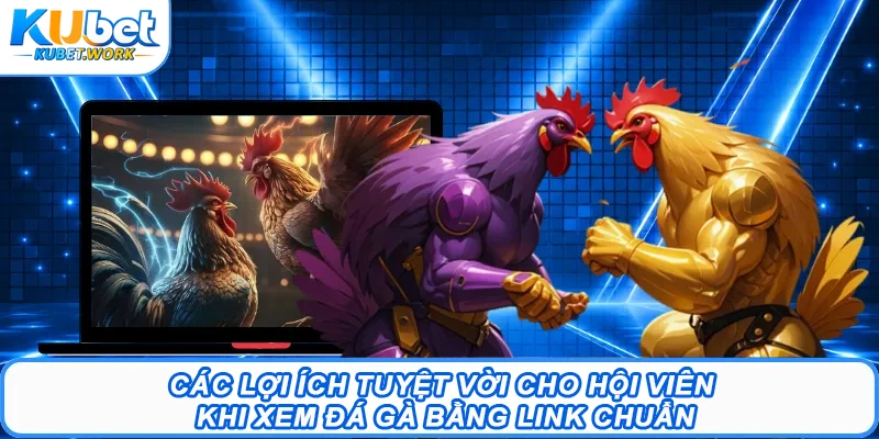 Link Đá Gà: Hướng Tìm Kiếm Link Xem Chọi Gà Chuẩn 2 Các lợi ích tuyệt vời cho hội viên khi xem đá gà bằng link chuẩn