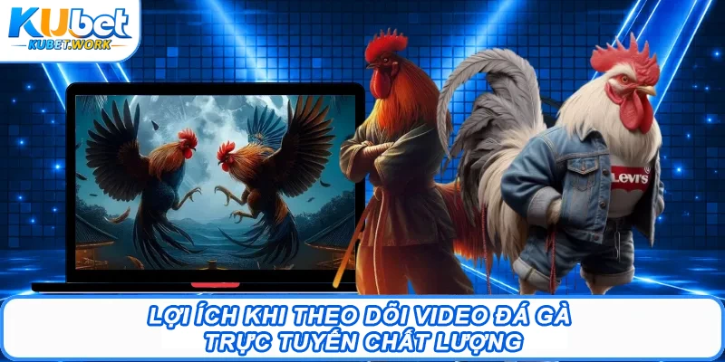 Video Đá Gà – Mang Đến Những Trận Đấu Đỉnh Cao Nhất 2 Lợi ích khi theo dõi video đá gà trực tuyến chất lượng