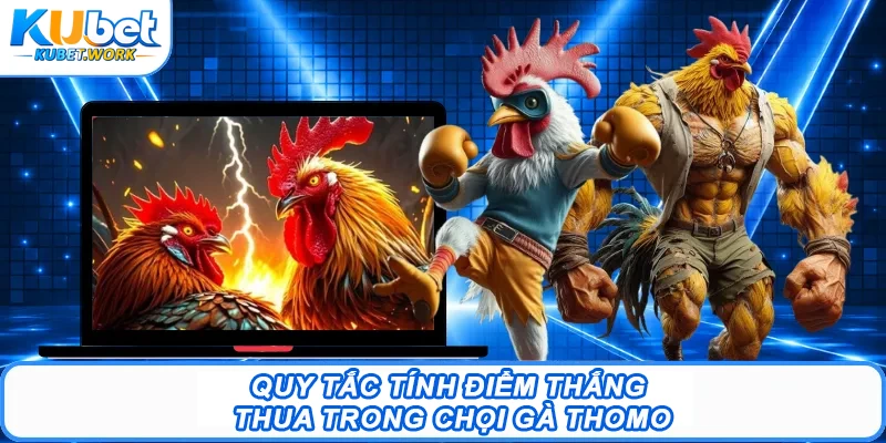 Quy tắc tính điểm thắng - thua trong chọi gà Thomo